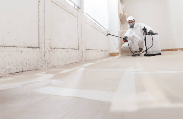 24/7 Emergency Mold Remediation experts in Elm City, NC